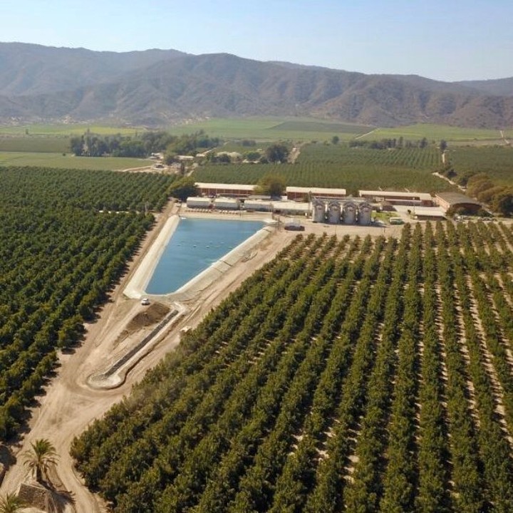 Diseño y Planificación